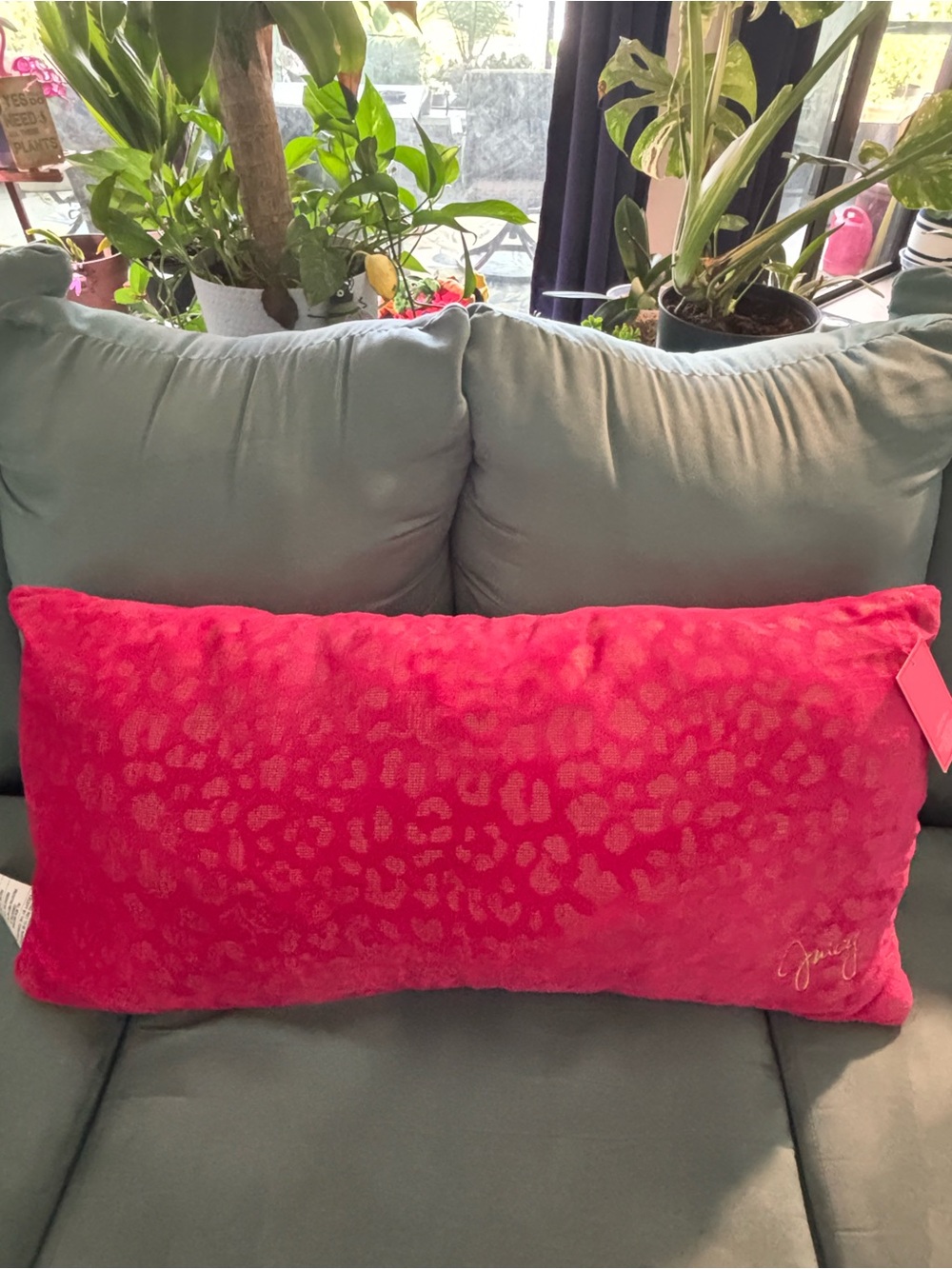 Juicy couture body pillow